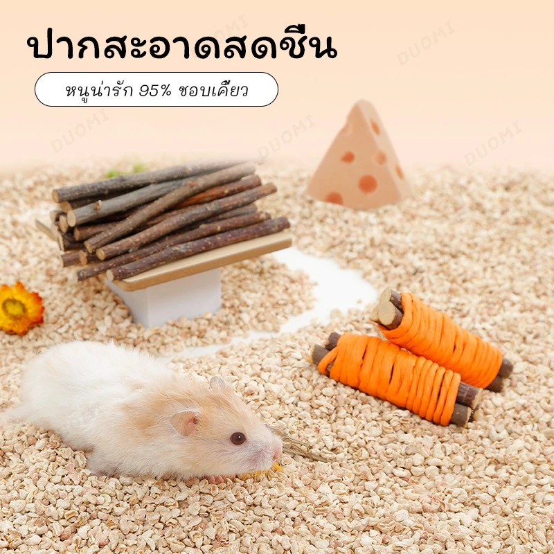 [สินค้าพร้อมส่ง + จัดส่งจากประเทศไทย]หนูแฮมสเตอร์กัดแทะเพื่อเลือกสินค้า แอปเปิ้ล สาขา ข้าวโพด ขนม คุกกี้ แกสบี้ กระรอก กระต่าย โภชนาการ ขนม thumbnail 4