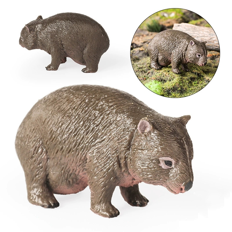 สัตว์ Wombat Phascolomidae จําลองเด็กความรู้ความเข้าใจวิทยาศาสตร์การศึกษาของเล่นเครื่องประดับ props