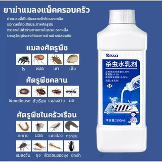 ใน 10 ปีไม่มีหนอน ยาฆ่าแมลงในท่อระบายน้ํา ยาฆ่าแมลง แมลงสาบ ศัตรูพืช ในท่อระบายน้ํา หายไป