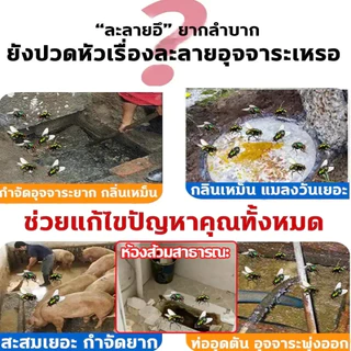 ใน 10 ปีไม่มีหนอน ยาฆ่าแมลงในท่อระบายน้ํา ยาฆ่าแมลง แมลงสาบ ศัตรูพืช ในท่อระบายน้ํา หายไป