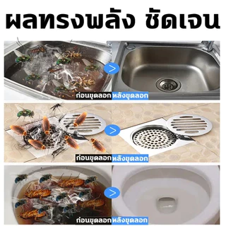 ใน 10 ปีไม่มีหนอน ยาฆ่าแมลงในท่อระบายน้ํา ยาฆ่าแมลง แมลงสาบ ศัตรูพืช ในท่อระบายน้ํา หายไป