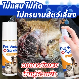 🐱สเปรย์สมานแผลสำหรับสัตว์เลี้ยง🐶 SA สเปรย์พ่นแผล สเปรย์นาโน แผลแห้งไว สมานแผลไว ฆ่าเชื้อแบคทีเรีย สำหรับสุนัข แมว และสัตว์เลี้ยงทุกชนิ ส่วนผสมจากธรรมชาติ 100% ไม่ระคายเคือง ปลอดภัยหากสัตว์เลีย