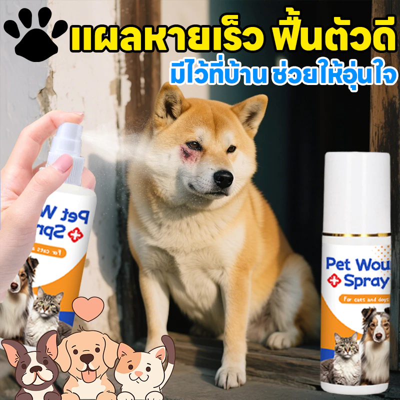 💊สเปรย์เดียวเห็นผล💊 AL สเปรย์สมานแผลสำหรับสัตว์เลี้ยง สเปรย์พ่นแผล สัตว์เลี้ยง / สุนัข / แมว แผลแห้งเร็วมาก ยับยั้งแบคทีเรีย