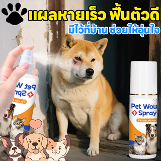 💊สเปรย์เดียวเห็นผล💊 AL สเปรย์สมานแผลสำหรับสัตว์เลี้ยง สเปรย์พ่นแผล สัตว์เลี้ยง / สุนัข / แมว แผลแห้งเร็วมาก ยับยั้งแบคทีเรีย