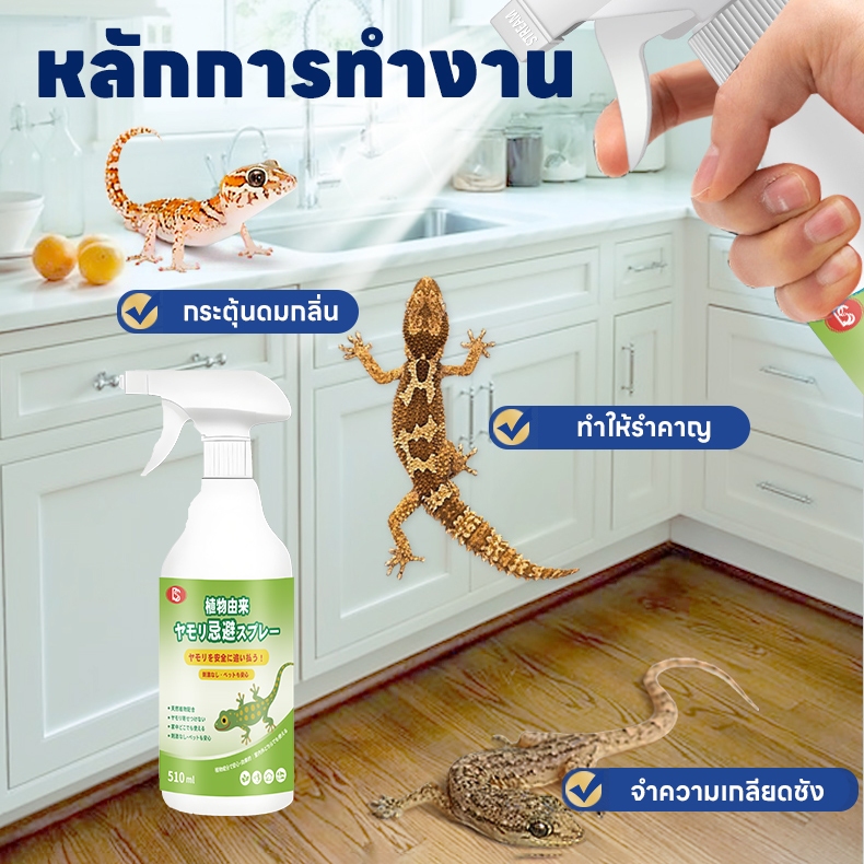 ฉีดทีเดียว ใช้ดีทั้งบ้าน! สเปรย์ไล่จิ้งจก ไล่จิงจก ไล่ตุ๊กแก ยาฉีดตุ๊กแก น้ํายาไล่จิ้งจก สูตรธรรมชาติ 500 ml - รูปที่ 4