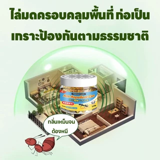 Feh ไล่มด 100ml | นำเข้าจากญี่ปุ่น | ปลอดภัย ซื้อ 1 แถม 1