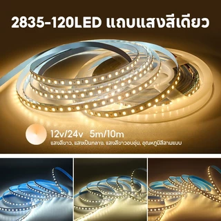 WOW 12v/24v แถบไฟแรงดันต่ำ 2835 5m/10m ม้วนทั้งหมด ป้องกันไฟฟ้าช็อต ติดตั้งด้วยตนเองฟรี บ้าน / วิศวกรรม วัตถุประสงค์ทั่วไป
