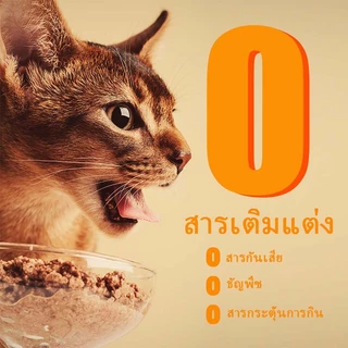 เนโคลูฟ 10แพ็คอาหารแมวเปียก80กถุงอินทรีย์อาหารแมวสดธรรมชาติอาหารเปียกแมวเหมาะสําหรับแมวทุกวัยช่วยย่อยอาหารลดก้อนผม3รสชาติอาหารแมวมิลค์เชคเหมาะสําหรับทุกก แมว