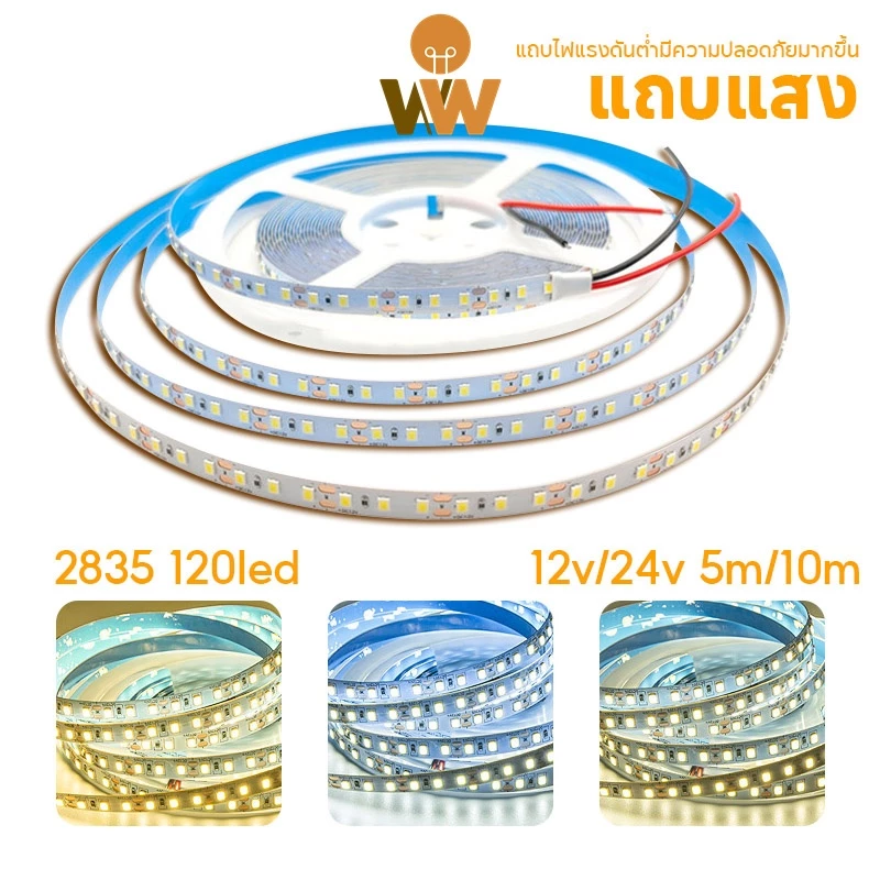 WOW 12v/24v แถบไฟแรงดันต่ำ 2835 5m/10m ม้วนทั้งหมด ป้องกันไฟฟ้าช็อต ติดตั้งด้วยตนเองฟรี บ้าน / วิศวกรรม วัตถุประสงค์ทั่วไป
