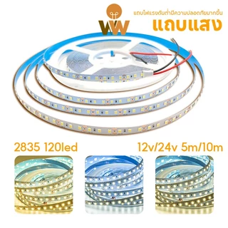 WOW 12v/24v แถบไฟแรงดันต่ำ 2835 5m/10m ม้วนทั้งหมด ป้องกันไฟฟ้าช็อต ติดตั้งด้วยตนเองฟรี บ้าน / วิศวกรรม วัตถุประสงค์ทั่วไป