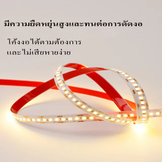 WOW 12v/24v แถบไฟแรงดันต่ำ 2835 5m/10m ม้วนทั้งหมด ป้องกันไฟฟ้าช็อต ติดตั้งด้วยตนเองฟรี บ้าน / วิศวกรรม วัตถุประสงค์ทั่วไป