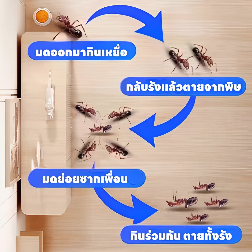 โปรโมชั่นด่วน!ซื้อ 2 แถม 2 กําจัดมด ยาฆ่ามด ยากําจัดมด ยาหยดมด แปะปุ๊บ มดตายปั๊บ มดตายยกรัง ยามด เหยื่อมด กันมด ราคา ถูกที่สุด ดีลบีเคเค แกลเลอรีภาพที่ 6