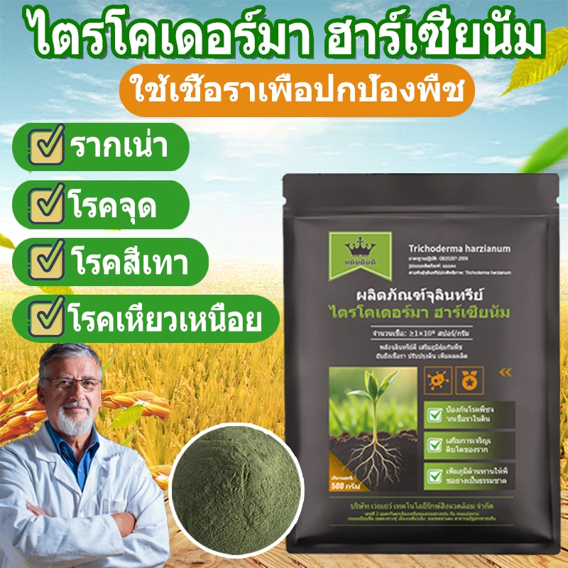 กัปตันไตรโค ไตรโคเดอร์ม่า สูตรเข้มข้น ไตรโคเดอร์มา ฮาร์เซียนั่ม เชื้อราไตรโคมา Trichoderma harzianum กำจัดโรคใบจุดรากเน่าโคนเน่า ควบคุมโรค