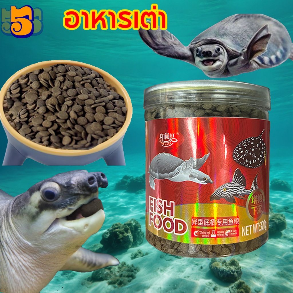 555PET อาหารเต่าน้ำ แบบจมน้ำ สำหรับเต่าหมูบิน สูตรโปรตีนสูง เร่งโต กระดองใหญ่ สุขภาพดี