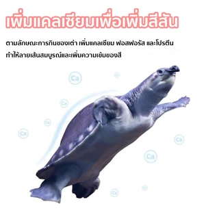 New Life Pig-nosed turtle feed แบบจมน้ำ อนุภาคขนาดใหญ่ 5mm/10mm สำหรับเต่าหมูบิน เต่าจมูกหมู