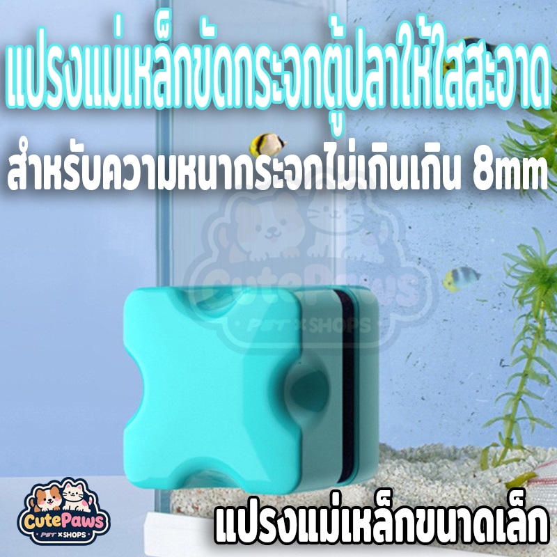 แม่เหล็กแรงดูดสูง สีพาสเทล สำหรับทำความสะอาดตู้ปลา ขูดตะไคร่ ขัดตู้ปลา ใช้กับกระจกได้หนาสุด 12 มิลลิเมตร แปรงแม่เหล็กขนาดเล็ก