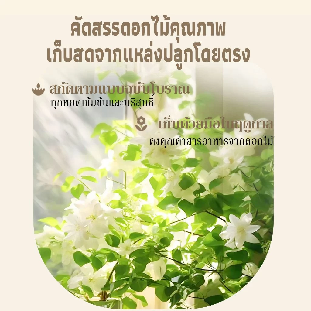 ASAKA Body Wash ครีมอาบน้ำ กลิ่นยาวนาน สำหรับผิวแพ้ง่าย thumbnail 6