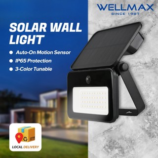 WELLMAX Solar Light Auto-on Motion Sensor Solar Charging Light for Garden Wall