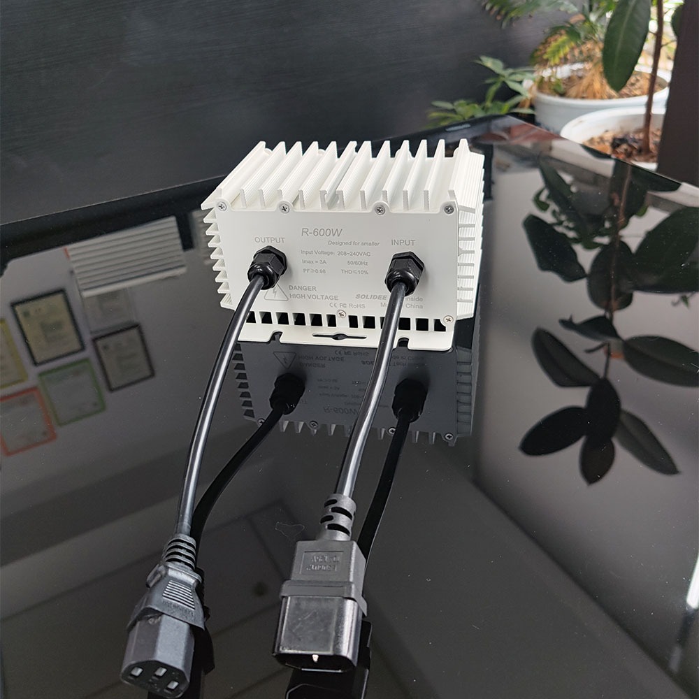 งานบัลลาสต์ไฟฟ้า 600W พร้อมหลอด HPS และ MH