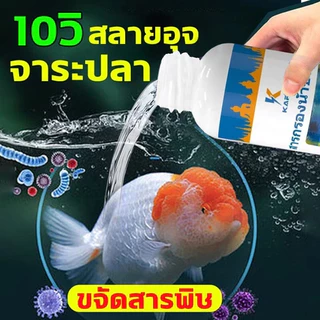 แบบเข้มข้น จุลินทรีบ่อปลา น้ำยาปรับสภาพน้ำ 12 ชั่วโมงใวิน้ำใสขึ้น จุลินทรีย์ปรับสภาพใส ละลายอุจจาระ ดับกลิ่นเหม็น เสร