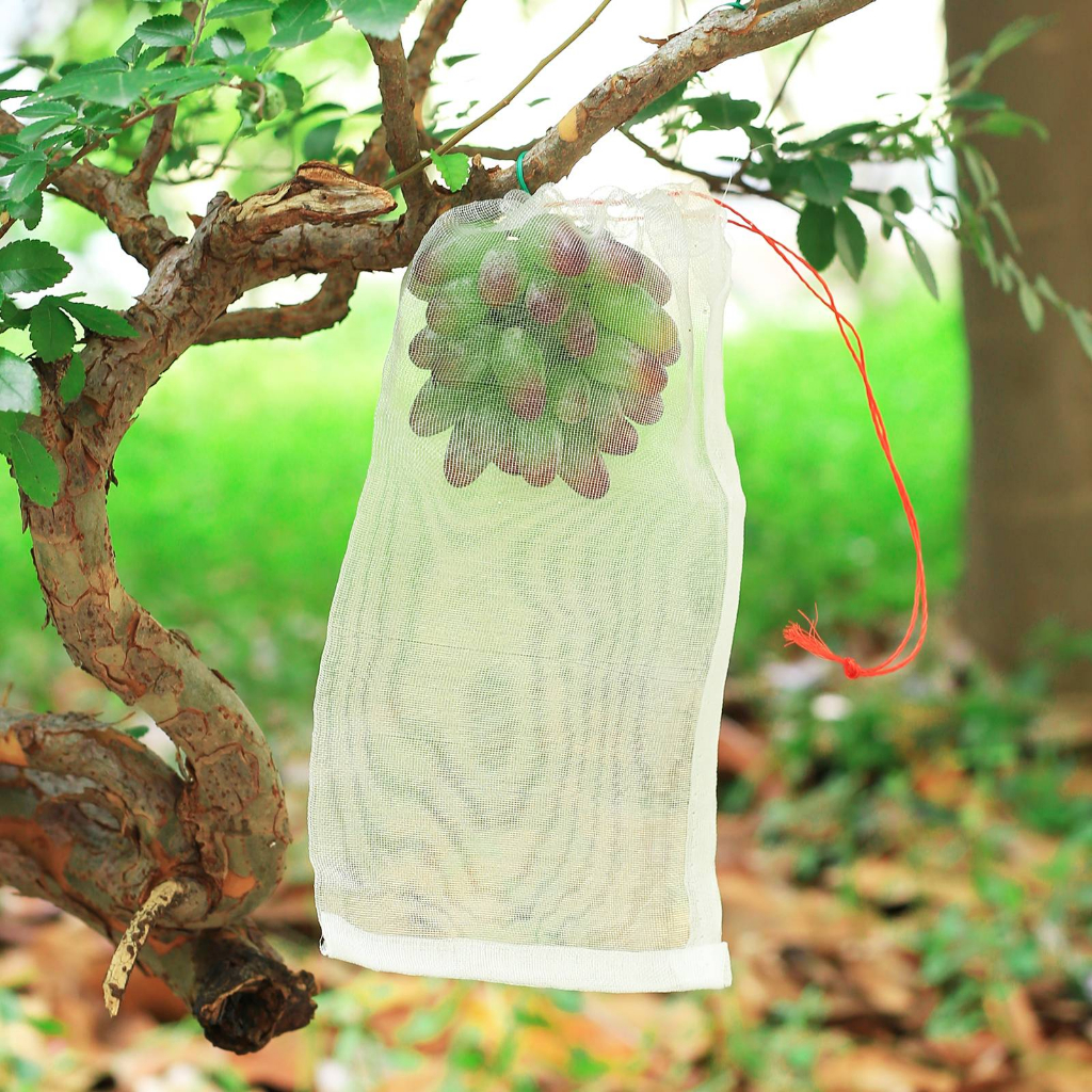 Fruit Bird-proof Net แมลงสุทธิ Orchard Strawberry Grape Drawstring Bag แมลง*&&*