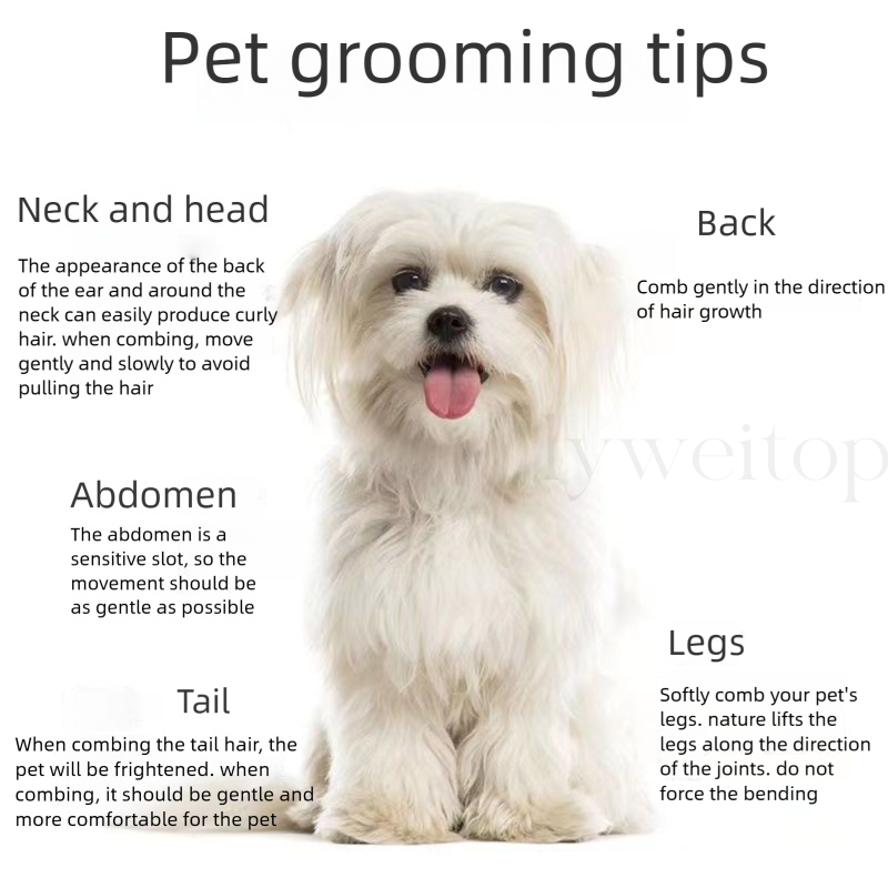 สัตว์เลี้ยงผมหมัดหวี แมวเหาหวีสุนัข Tick Remover Parasite Removal แปรงสําหรับสุนัขแมว Fine หนาแน่นฟันกรูมมิ่งเครื่องมือ - รูปที่ 4