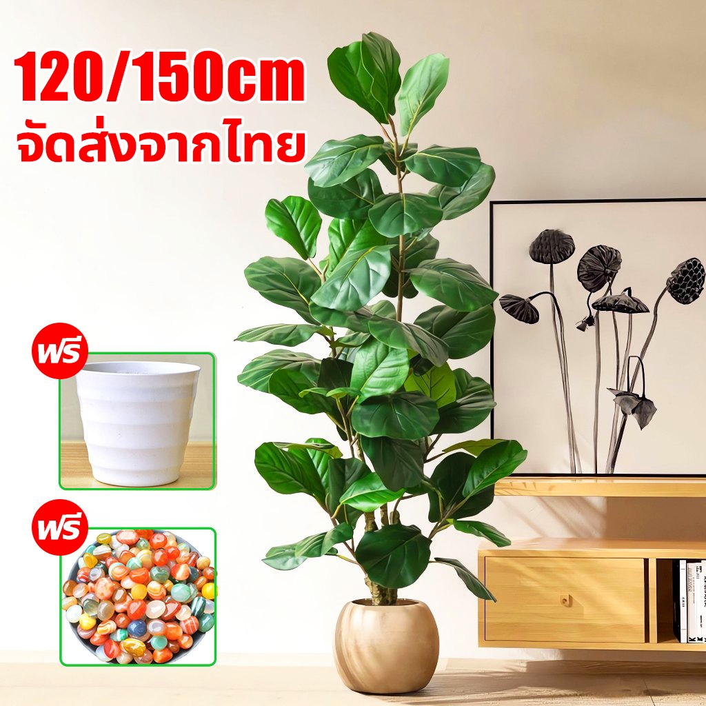 ต้นไม้ปลอม🏡ฟรี กระถาง☘️ต้นไทรใบสัก ความจำลอง 99% ต้นไม้ปลอมใหญ่ สูง120/150ซม 47ใบ ต้นไม้แต่งห้อง ต้นไม้เงิน ต้นไม้เทียม