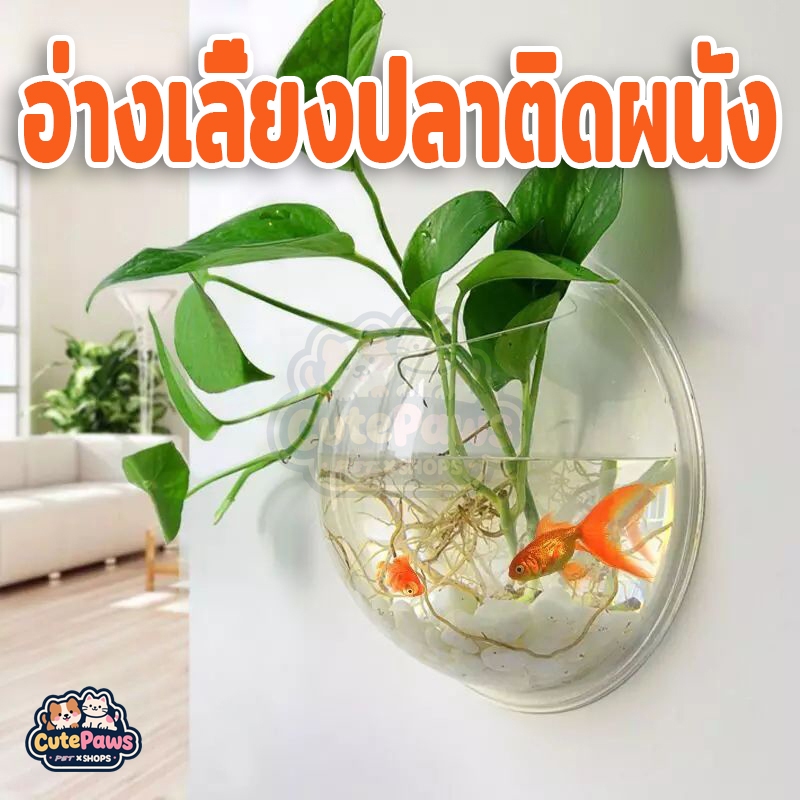 แจกันแก้ว แบบหนา ครึ่งวงกลม สําหรับจัดสวนตู้ปลา แจกันติดผนัง ภาชนะพืชที่วางพืชกระถางดอกไม้ ที่ไม่ซ้ํากันถังปลาหนาโปร่งใสการจัดดอกไม้ขวดระเบียง