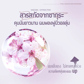 Asaka ลดผมมัน Volumizing Shampoo แชมพู ทําให้ผมดูหนาขึ้นโดยไม่ต้องลีบแบน เหมาะสําหรับผมเส้นเล็ก