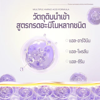 Asaka ลดผมมัน Volumizing Shampoo แชมพู ทําให้ผมดูหนาขึ้นโดยไม่ต้องลีบแบน เหมาะสําหรับผมเส้นเล็ก