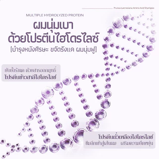Asaka ลดผมมัน Volumizing Shampoo แชมพู ทําให้ผมดูหนาขึ้นโดยไม่ต้องลีบแบน เหมาะสําหรับผมเส้นเล็ก