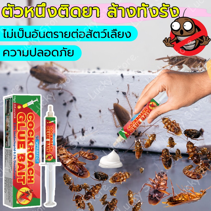 【เทคโนโลยีล่าสุด】กำจัดแมลงสาบทุกตัว เจลแมลงสาบ บ้านแมลงสาบ แมลงสาป ฆ่าจิ้งจก แมลงสาบ กําจัดมด ฆ่าแมล