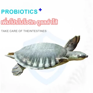 New Life Pig-nosed turtle feed แบบจมน้ำ อนุภาคขนาดใหญ่ 5mm/10mm สำหรับเต่าหมูบิน เต่าจมูกหมู