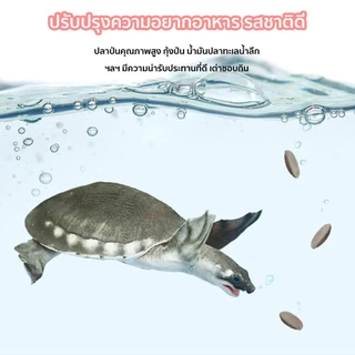 New Life Pig-nosed turtle feed แบบจมน้ำ อนุภาคขนาดใหญ่ 5mm/10mm สำหรับเต่าหมูบิน เต่าจมูกหมู