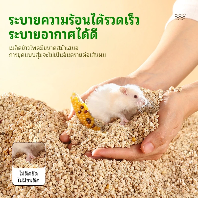 【สินค้าพร้อมส่ง + จัดส่งจากประเทศไทย】แผ่นรองซังข้าวโพดหนูแฮมสเตอร์ แผ่นรองดูดซับ หมีทอง แผ่นรองผลิตภัณฑ์สําหรับสัตว์เลี้ยงทรายปัสสาวะสากลโฟร์ซีซั่น thumbnail 3