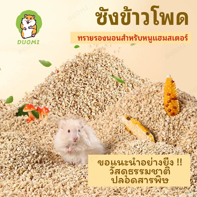 【สินค้าพร้อมส่ง + จัดส่งจากประเทศไทย】แผ่นรองซังข้าวโพดหนูแฮมสเตอร์ แผ่นรองดูดซับ หมีทอง แผ่นรองผลิตภัณฑ์สําหรับสัตว์เลี้ยงทรายปัสสาวะสากลโฟร์ซีซั่น