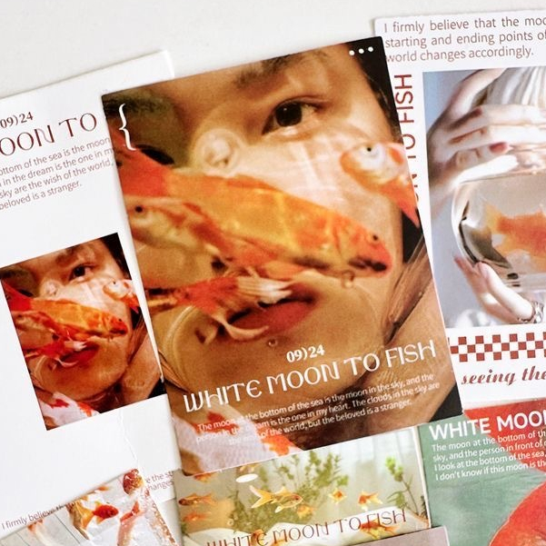 25แผ่นในฝันปลาทองสติ๊กเกอร์แพ็คทําเองคู่มือวัสดุสติกเกอร์ปิดผนึกสติกเกอร์กันน้ําถ้วยน้ําเคสโทรศัพท์ตกแต่งสติกเกอร์ - รูปที่ 4