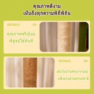 คอนโดแมวใหญ่ คอนโดแมวไม้ บ้านแมว เหมาะสำหรับเลี้ยงน้องแมว 4-6ตัว เสาลับเล็บ ขนาดใหญ่ สูง140CM หลุมอวกาศ ที่นอนแมว คอนโดแมว ที่ลับเล็บแมว