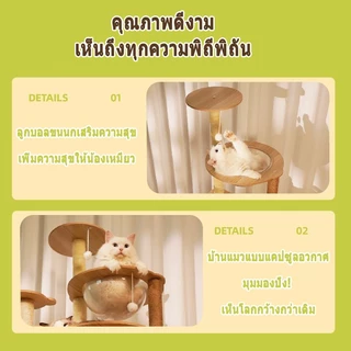 คอนโดแมวใหญ่ คอนโดแมวไม้ บ้านแมว เหมาะสำหรับเลี้ยงน้องแมว 4-6ตัว เสาลับเล็บ ขนาดใหญ่ สูง140CM หลุมอวกาศ ที่นอนแมว คอนโดแมว ที่ลับเล็บแมว