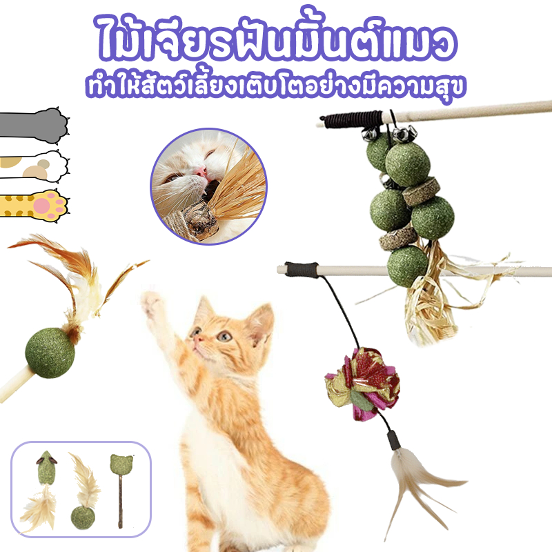 [ของเล่นแมว] แท่งแมว สูตรกัญชาแมว 4 ชนิด คลายเครียด+จับ+ทําความสะอาดฟัน ขนนกตกแต่ง| 10 วิธีใช้งาน|แมวชอบ 90