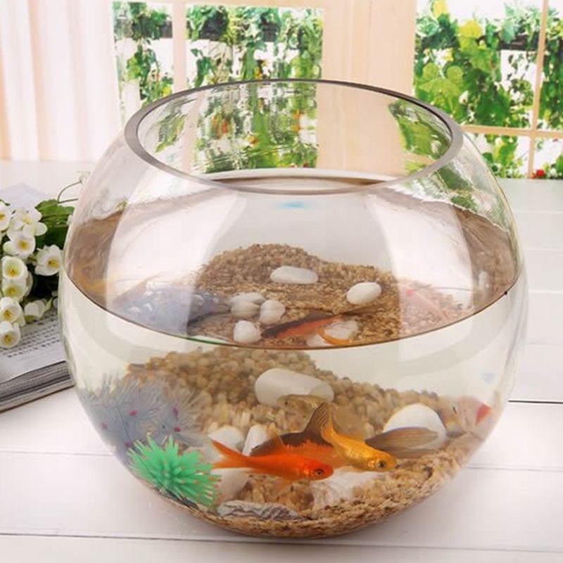 8/10/12/15 ซม.รอบลูกแจกันแก้วใสถังปลาแจกัน Hydroponic Terrarium คอนเทนเนอร์ Micro ภูมิทัศน์ Moss ขวด