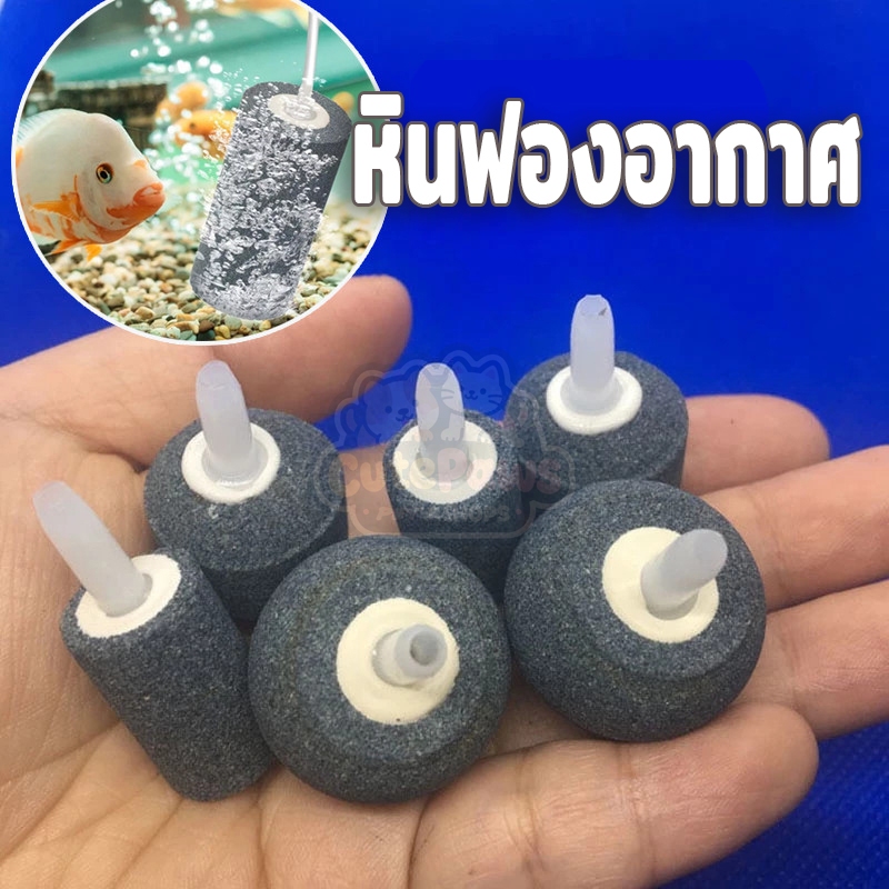 หัวออกซิเจน เพิ่มออกซิเจนในตู้ปลา หินอากาศสำหรับตู้ปลาตู้ปลาแบบกลม ผลิตฟองอากาศ 1 ชิ้น/5 ชิ้น หินฟองอากาศ หัวทรายจาน