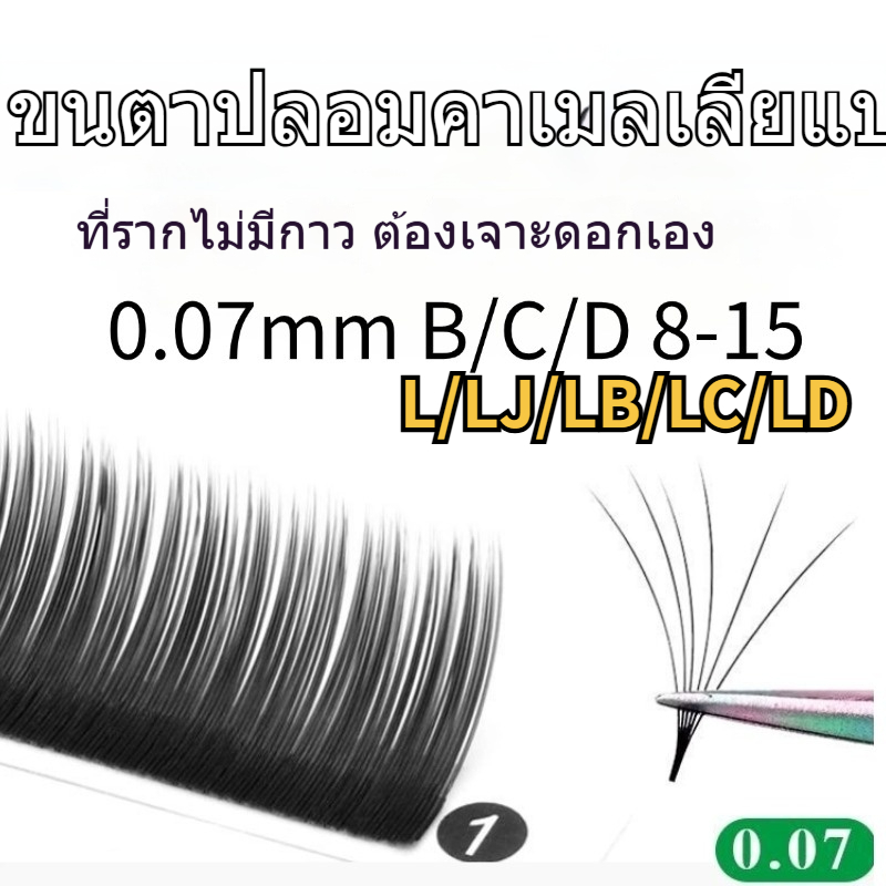 [12 แถว] กาวฟรี 0.07 Camellia Single Grafted Eyelashes พิเศษสําหรับศิลปินขนตาสไตล์ญี่ปุ่น Super Soft สไตล์การ์ตูนผมกลม Blooms ในหนึ่งวินาที