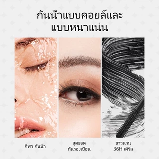 Zeesea มาสคาร่าหัวแปรงกันน้ําติดทนนาน 36H Smudge-proof ยาวขนตาเส้นใยบรรจุ Curling Eye แต่งหน้าเหงื่อ Proof