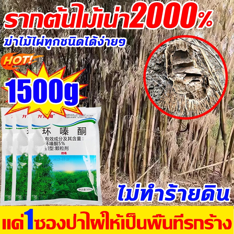 💥ตรงไปที่ราก!!💥500g สารกำจัดกอไผ่ ตายยันรากได้ผล 100% ยาฆ่าไผ่ ตรงไปที่ราก ยาฆ่ากอไม้ไผ่ ฆ่าไม้ไผ่ทุกชนิดได้ง่ายๆ รวดเร็ว ทนนาน ยาฆ่าไม้ไผ่ ผงกำจัดกอไผ่ ยาฆ่าต้นไม้ใหญ่ สารฆ่ากอไผ่ ยาฆ่าตอไม้ ยาฆ่าหญ้า