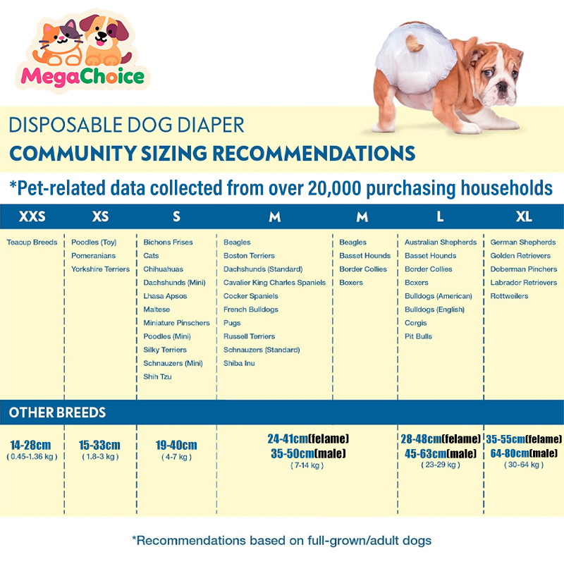 Megachoice Buy1 Free1 ผ้าอ้อมสุนัข ผ้าอ้อมสัตว์เลี้ยง ชายและหญิง แพมเพิสสุนัข ผ้าอ้อมสุนัขเพศผู้ แบบใช้แล้วทิ้ง ผ้าอ้อมน้องหมา ผ้าอ้อม 12/10pcs - รูปที่ 7