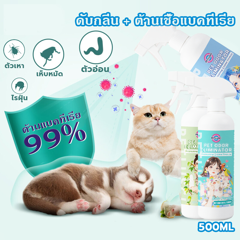 รูปภาพ 8