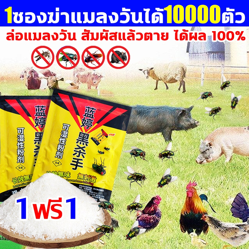 1 ซองสามารถฆ่าแมลงวันได้10000ตัว ผงกำจัดแมลงวัน ไม่มีรสชาติ นสัมผัสตายหยื่อที่ดึงดูดแมลงวันดีที่สุด ได้ผล100%ผงไข่เน่า