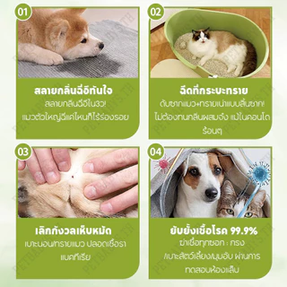 PETLUSCI สเปรย์ดับกลิ่นฉี่แมว กำจัดกลิ่นสัตว์เลี้ยง 500ML สเปรย์กำจัดกลิ่น ดูด ที่ดับหมา
