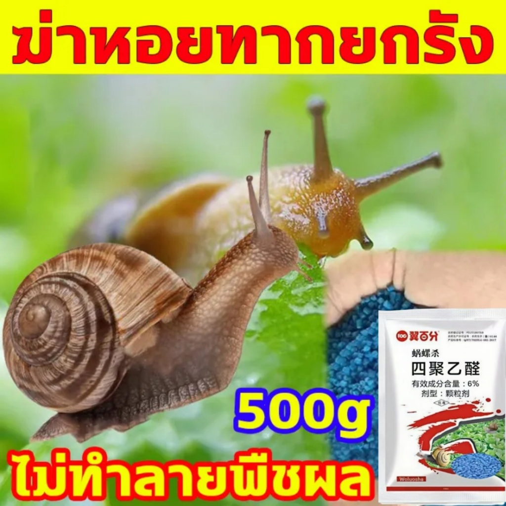 ได้ผล 100% หอยทากไม่ปฏิเสธ ยาฆ่าหอยทากเข้มข้นสุด หอยทาก สเปรย์ ป้องกันและกําจัดหอยทากแอปเปิ้ล หอยทาก และหอยทากศัตรูพืชอื่นๆ